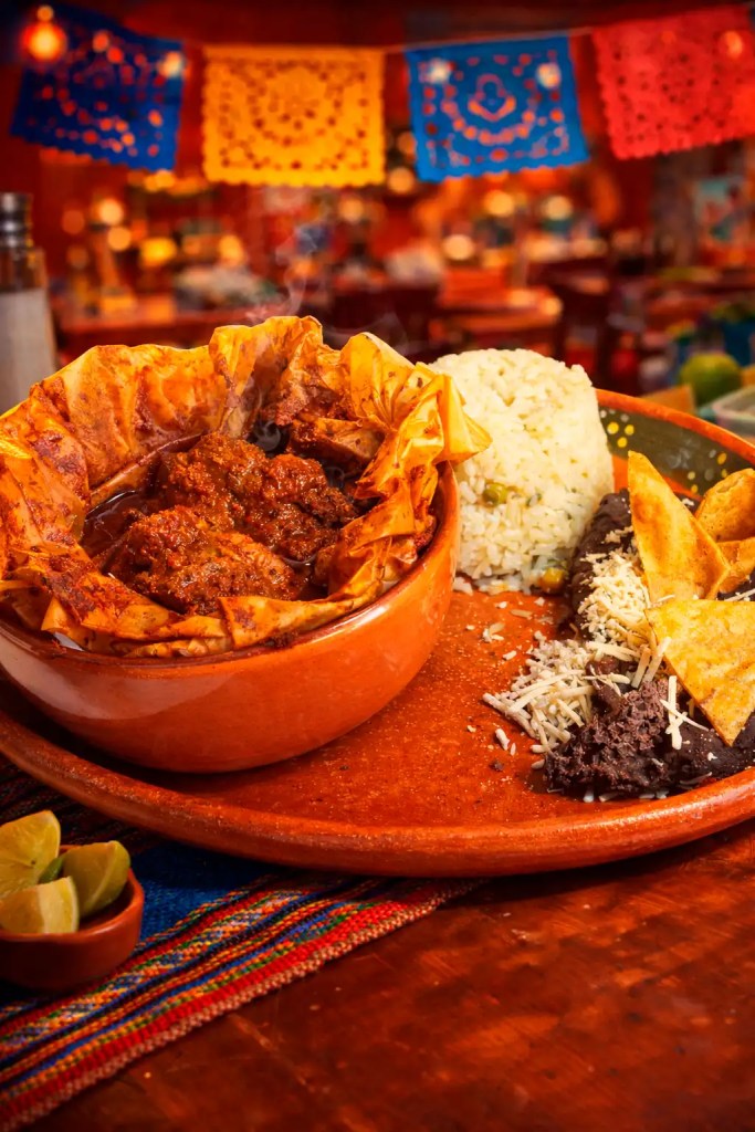 Miciote Casa Tonalli Puebla